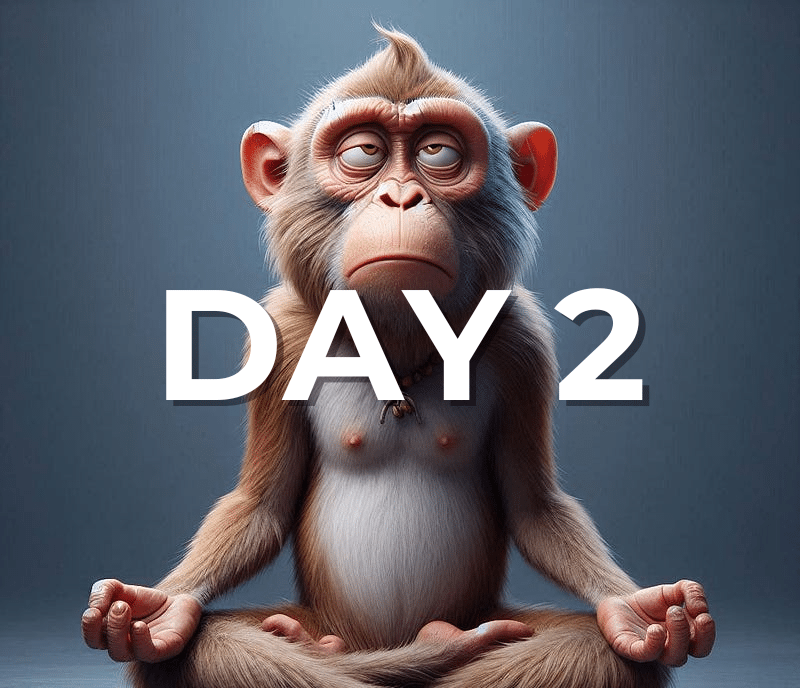 Day 2: Meditation is F*cking Boring: 10-Day Plan to Crush Your Meditation Struggles (Even if Your…